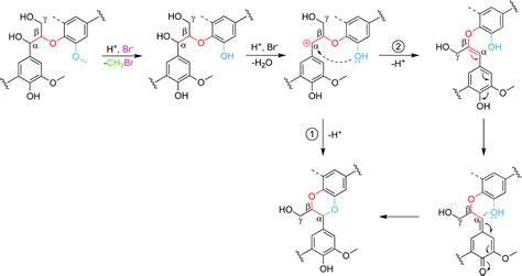 Cleavage of ethers and demethylation of lignin in acidic concentrated lithium bromide (ACLB ...