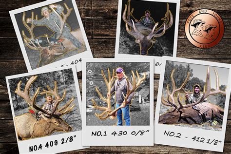 World Record Bulls: The Top 5 Typical Archery Elk