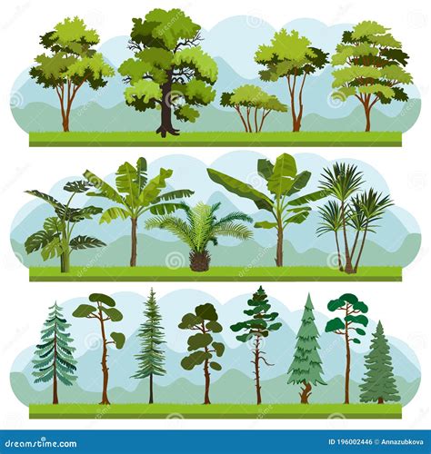 Set of Three Types of Forest Landscapes. Stock Vector - Illustration of ...