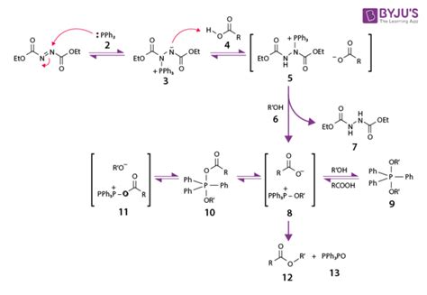 Synthesis Reaction