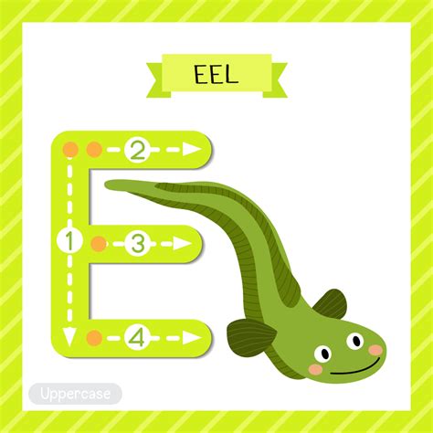 Buy alphabet e for eel Alphabets and numbers wall sticker paper poster ...