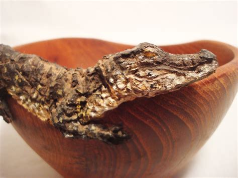 Gator Bowl - Etsy