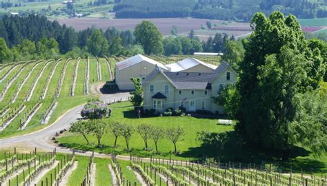 Oregon Wine Tasting Tour - America's Hub World Tours