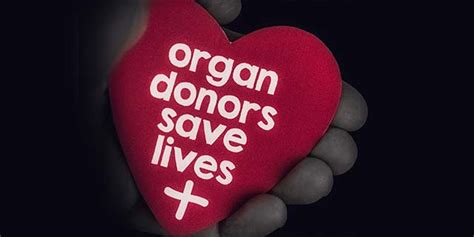 Why Organ Donation Day Activities Will Not Improve Organ Donation | Blogs