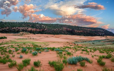 THE 15 BEST Things to Do in Kanab - UPDATED 2021 - Must See Attractions ...