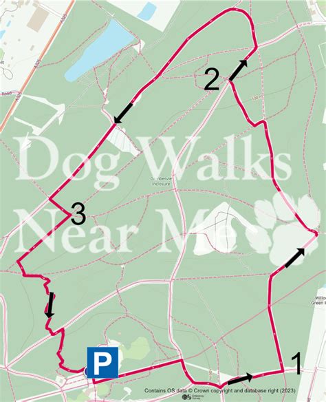 Alice Holt Forest - South Downs Dog Walks - Dog Walks Near Me