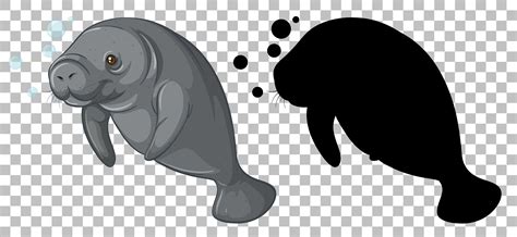 Manatee Vector Art, Icons, and Graphics for Free Download