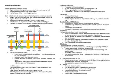 Bacterial secretion system notes - Bacterial secretion system Purpose of secretion systems in ...