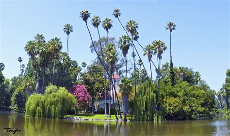 the Los Angeles County Arboretum and Botanic Garden, near the San Gabriel Mountains, in Arcadia ...