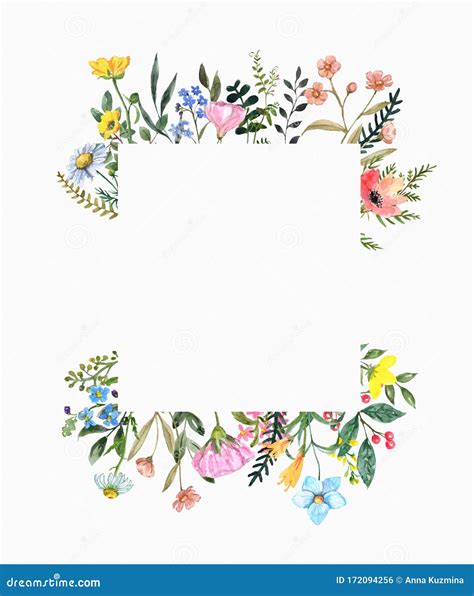 Wild Flower Border Design