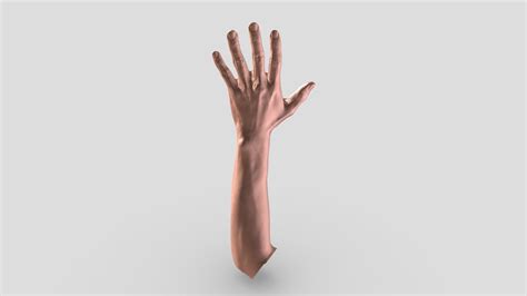 Hand-arm - Download Free 3D model by Diana Liu (@Diana123456) [199e194] - Sketchfab