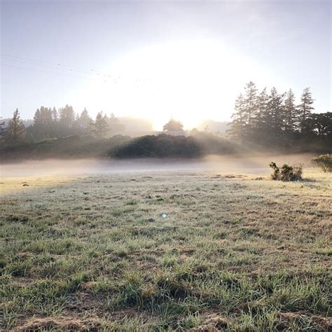 The Land - Meditation Retreat Center Northern California