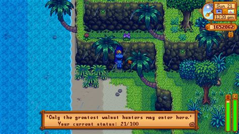 What's Behind the Golden Walnut Door in Stardew Valley - Hold to Reset