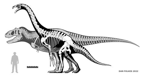 Therizinosaurus Skeleton