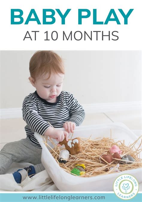 Baby Play at 10 Months - Little Lifelong Learners | Infant activities, 10 month old baby ...