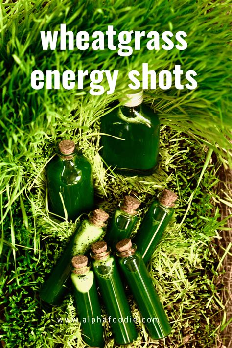 How to make Wheatgrass Shots and Juice - Alphafoodie