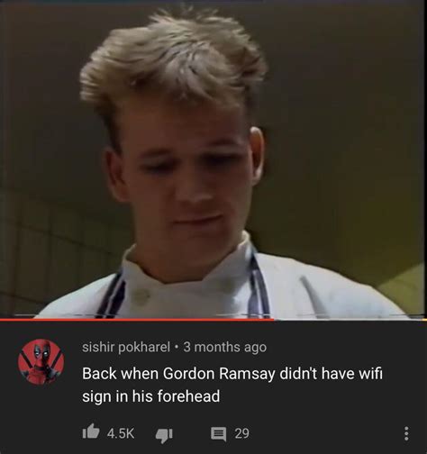 Gordon Ramsay & his forehead : r/rareinsults