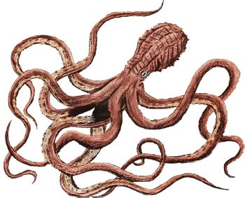 Mire Squid | MonsterVerse Wiki | Fandom