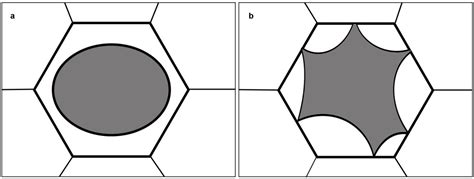 Plants | Free Full-Text | Plasmolysis: Loss of Turgor and Beyond