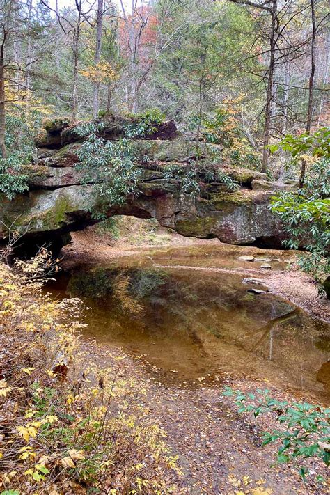 Rock Bridge Trail (Red River Gorge, KY) - Champagne Tastes®