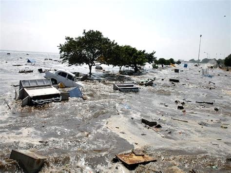 In Photos: On 16th Anniversary Of December 2004 Tsunami, Tamil Nadu ...