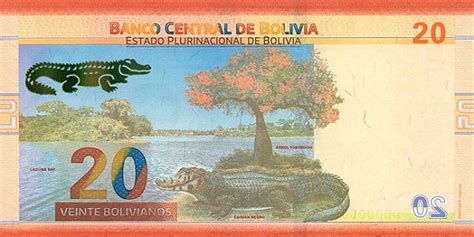 Current Bolivian Boliviano Banknotes - Foreign Currency