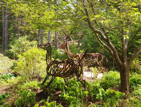 Exploring the Coastal Maine Botanical Gardens - New England Today