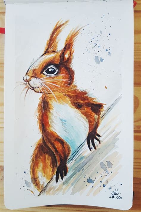 Watercolor Painting Animal Squirrel | Watercolor for beginners | Animal ...