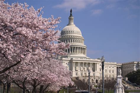 5 Can’t Miss Spring Events in Washington, DC