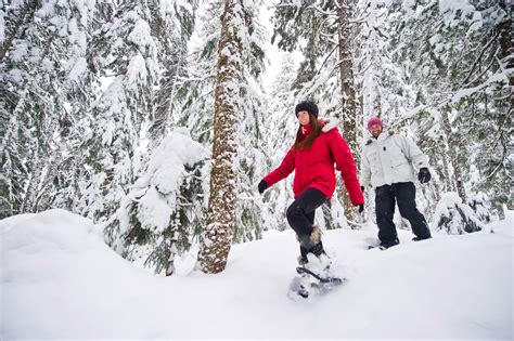 Have you ever wanted to walk on water? Snowshoes let you do that ...