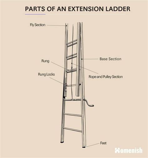 Parts of a Ladder (2 Diagrams For Step Ladder & Extension Ladder) - Homenish | Step ladder ...