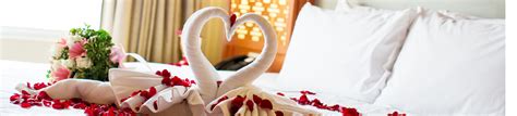 Valentines Day Hotels & Packages | Wowcher