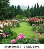 Rose Garden with Trees and flowers image - Free stock photo - Public Domain photo - CC0 Images