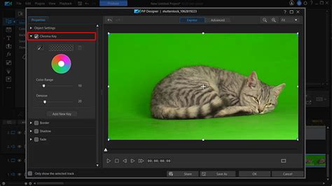 11 Best Green Screen Editors With Visual Effects