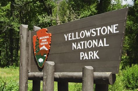 Yellowstone National Park Will Finally Let Visitors Do This