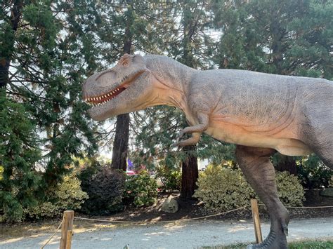 11 Intriguing Dinosaurs: Physical Appearance and Life Facts - Owlcation