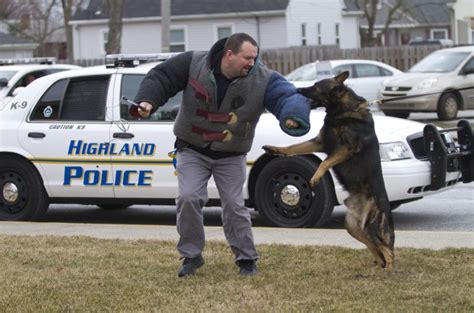 Police dog joins Highland ranks