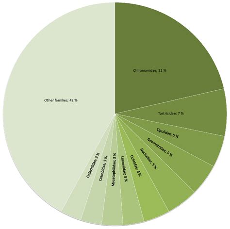 Most abundant families in the Daubenton’s bats diet. Pie chart shows... | Download Scientific ...