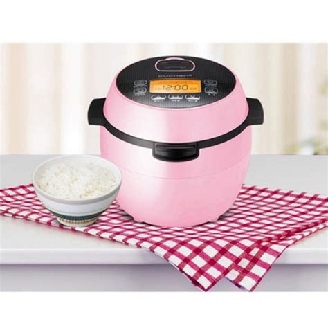 Best Mini Rice Cooker 2024 - Denise Donielle