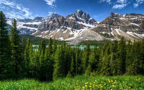 Wallpaper Canada, nature landscape, mountains, forest, Banff Park ...