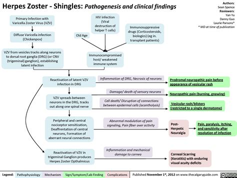 Herpes Zoster (Shingles) | Calgary Guide