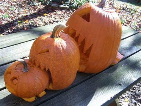 40 Pumpkin Carving Ideas - Jack-o’-Lanterns for Halloween 2020