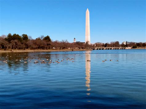 Washington, DC: National Monuments & Memorials - One Road at a Time