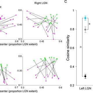 LGN subdivisions may not be identifiable from non-quantitative ...