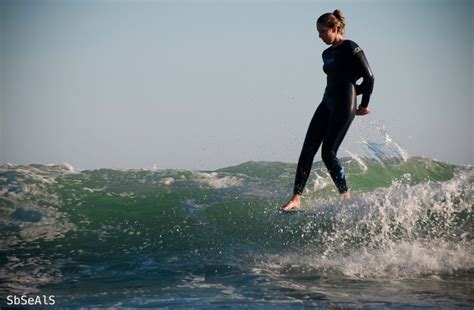 wax buddy: SANTA BARBARA SURFING