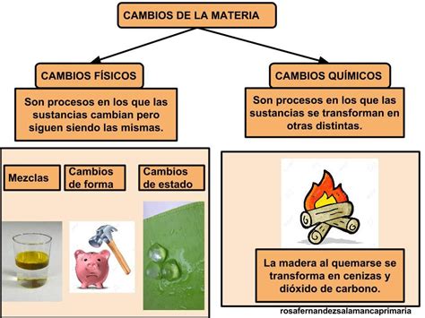 Ciencias Naturales 4-1 – Educatek