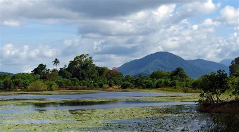 Amazing Kearneys Falls and Cattana Wetlands - Travel Spiced Life