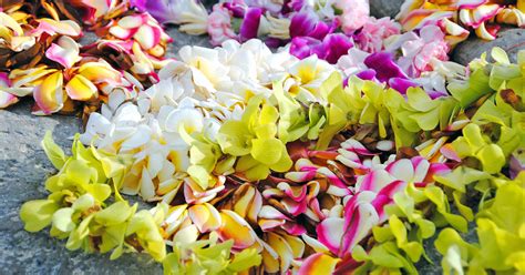 What Is Lei Day? Meaning and History of the Hawaiian Celebration