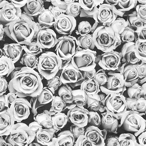 White and Grey Rose -, White and Grey Rose Background on Bat, Grey Floral wallpaper ponsel HD ...