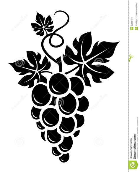 Grape Vine Vector Free at GetDrawings | Free download